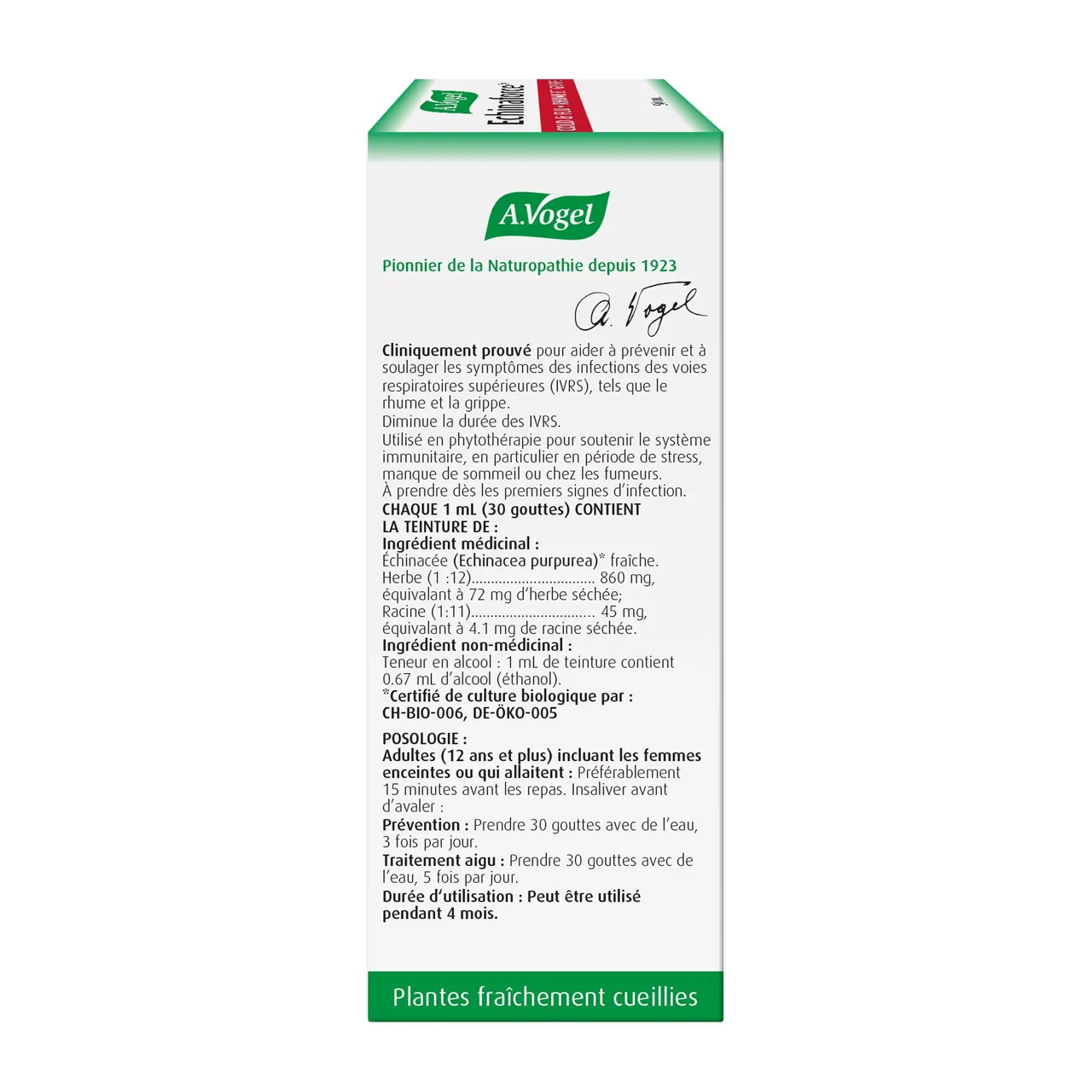 A.Vogel - Echinaforce | 100 mL - Image 2
