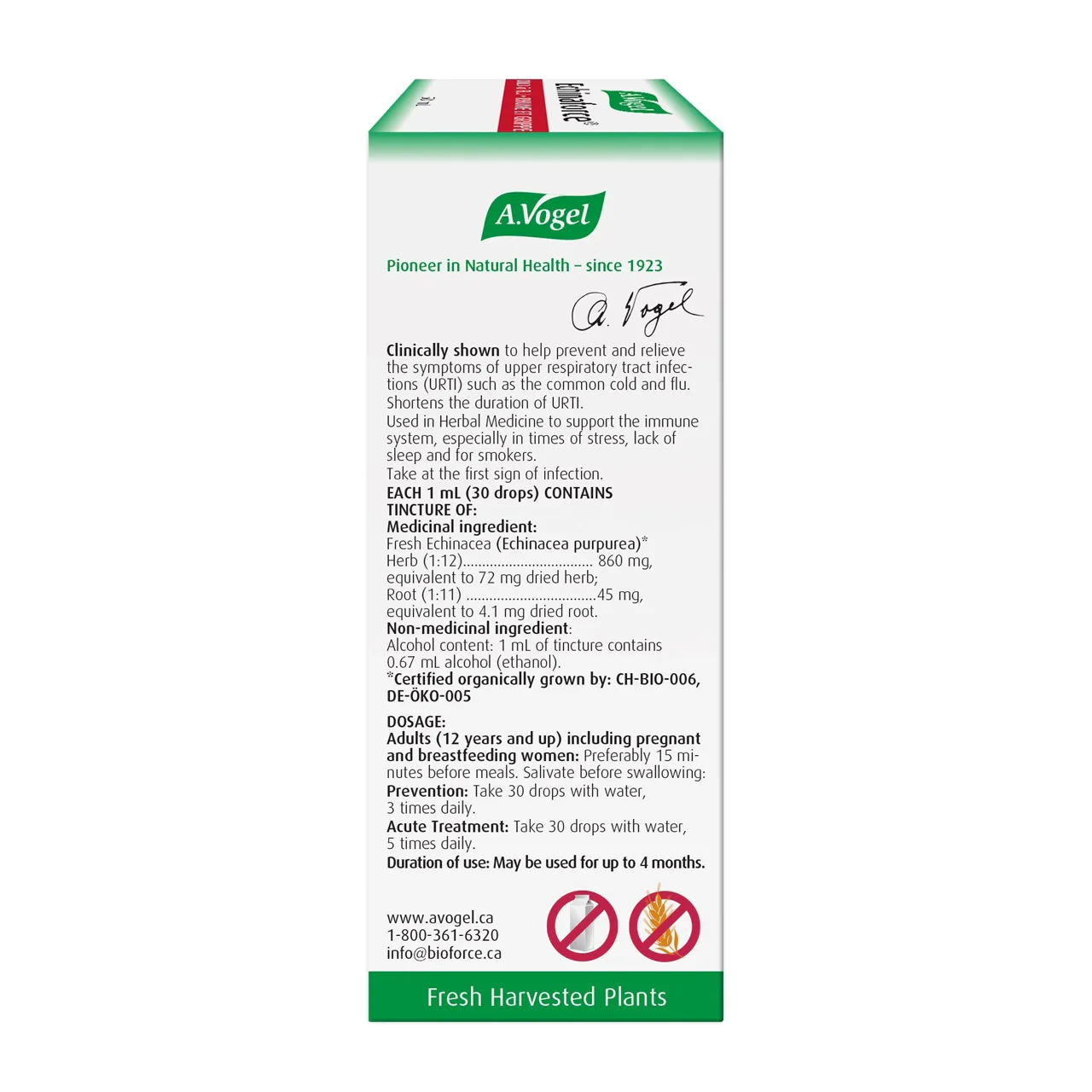 A.Vogel - Echinaforce | 100 mL - Image 4