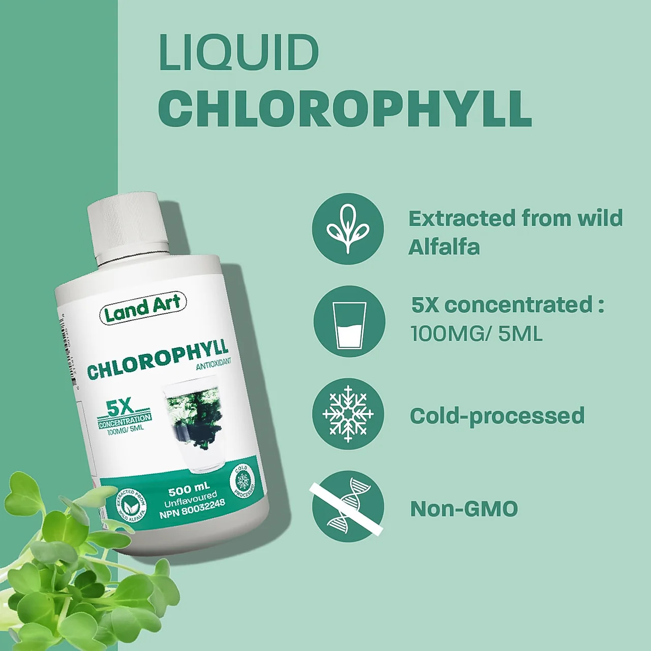 Land Art - Chlorophyll Antioxidant 5X Concentration Unflavoured | 500 mL - Image 2