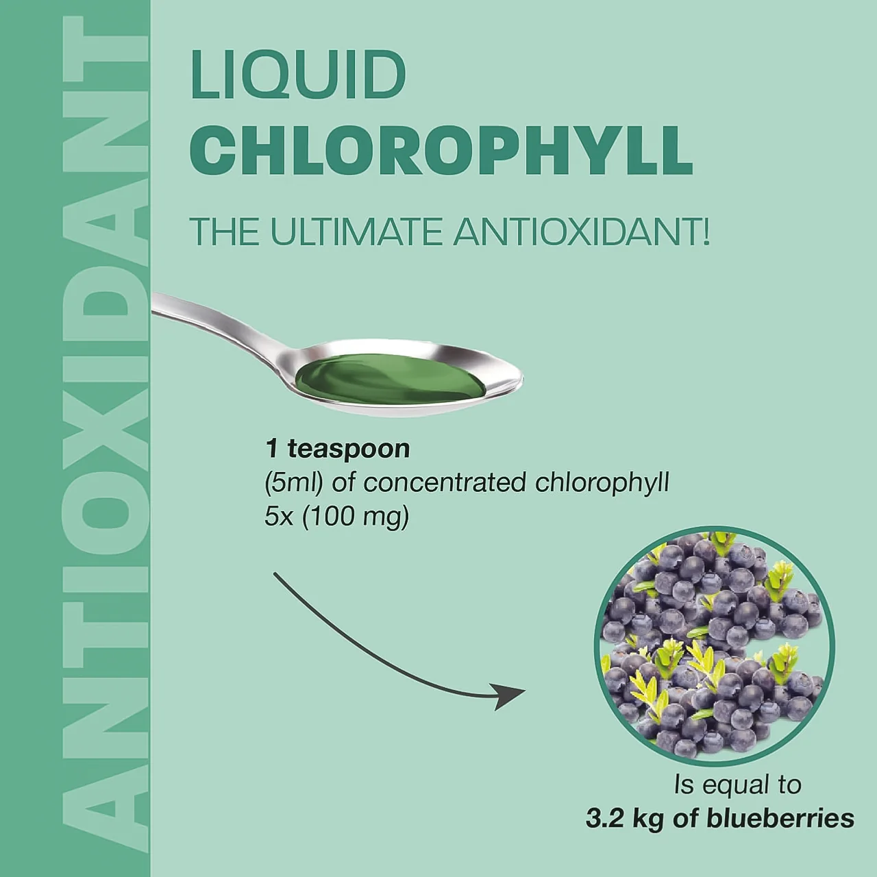Land Art - Chlorophyll Antioxidant 5X Concentration Unflavoured | 500 mL - Image 3