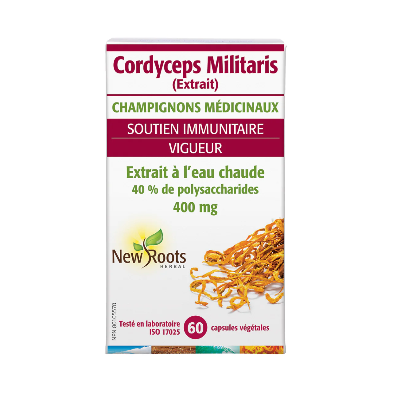 New Roots - Cordyceps Militaris 400 mg Hot-Water Extract | 60 capsules - Image 2