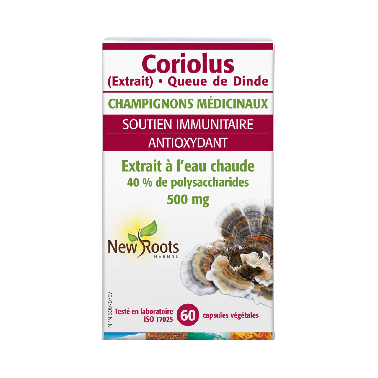 New Roots - Coriolus Turkey Tail 500 mg Hot-Water Extract | 60 capsules - Image 2
