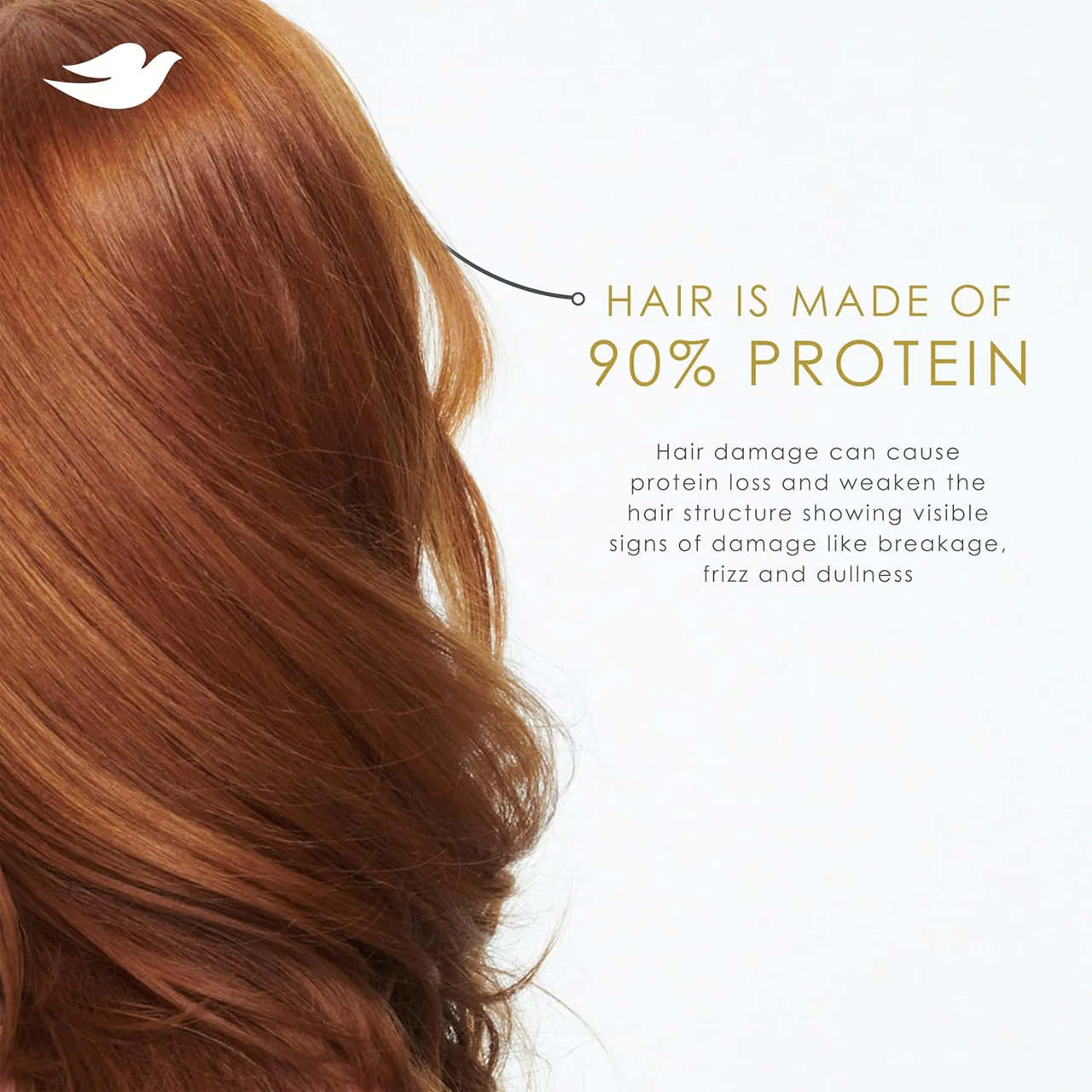 Dove - Intensive Repair Damage Therapy Conditioner | 355 mL - Image 2