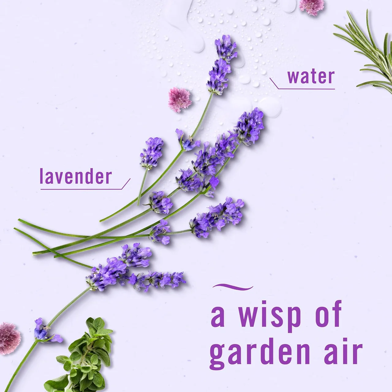 Febreze - Air Freshener - Mediterranean Lavender | 250 g - Image 2