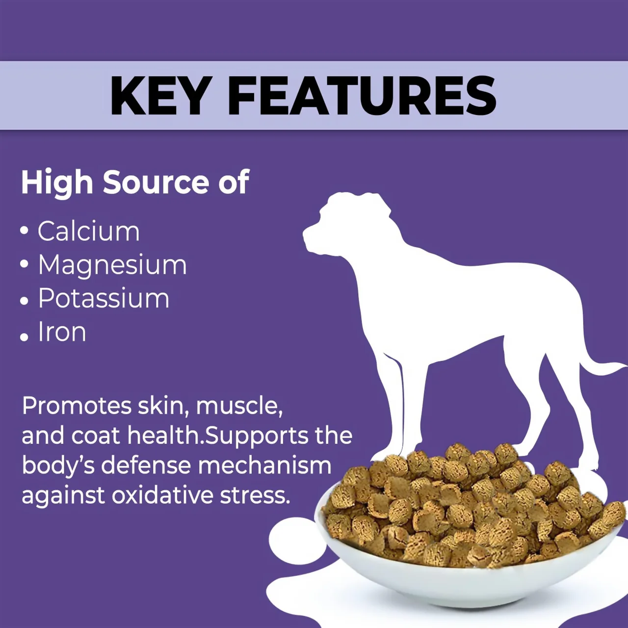 Foley's - Premium Baked Dog Treats - Lamb With Apple | 400 g - Image 2