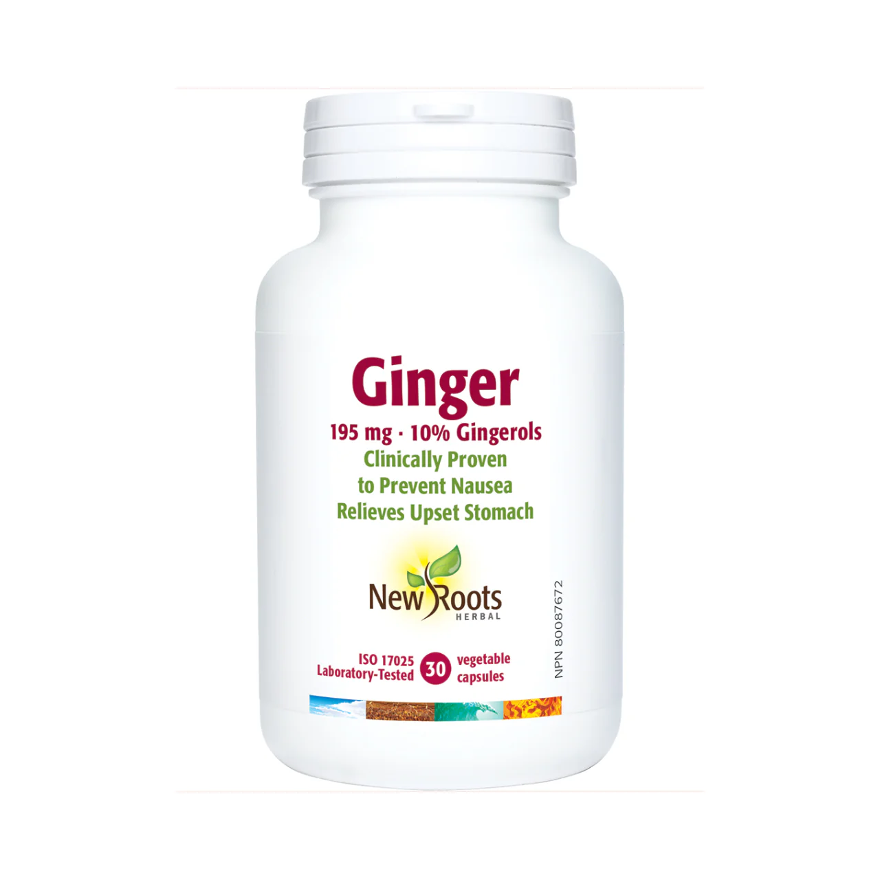 New Roots - Ginger 195 mg 10% gingerols | 30 capsules