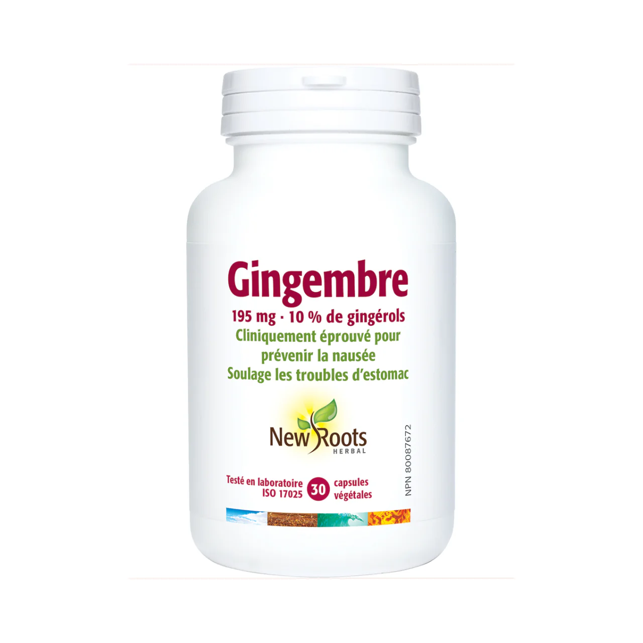 New Roots - Ginger 195 mg 10% gingerols | 30 capsules - Image 2