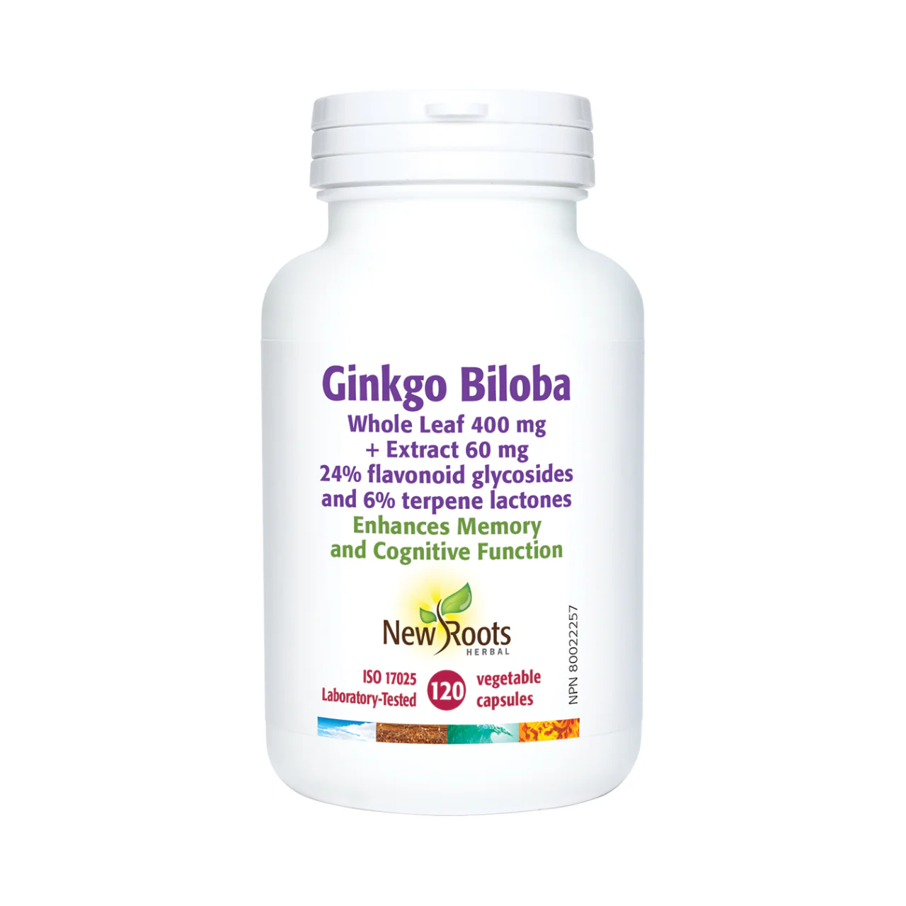 New Roots - Ginkgo Biloba Whole Leaf 400 mg + Extract 60 mg | 120 capsules