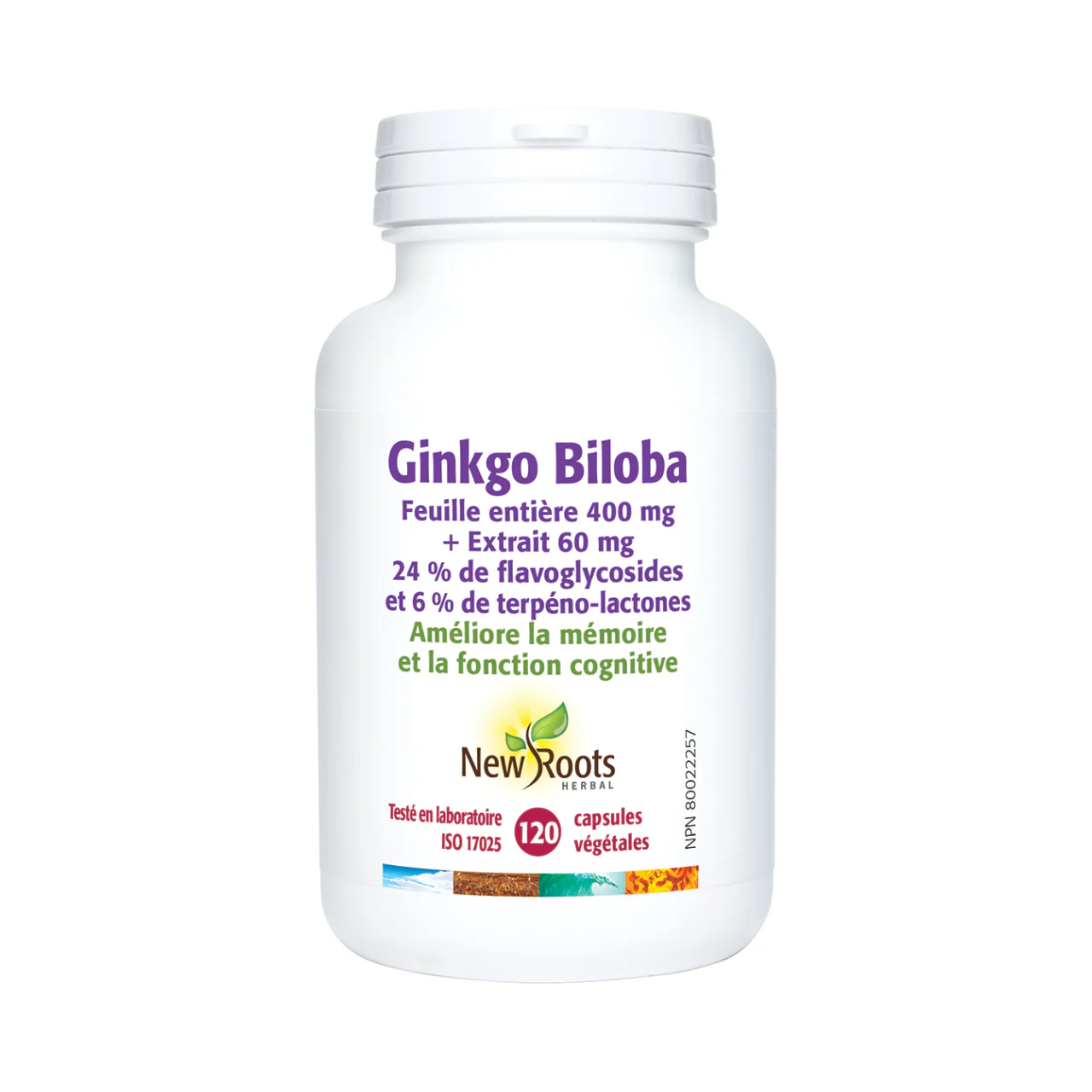 New Roots - Ginkgo Biloba Whole Leaf 400 mg + Extract 60 mg | 120 capsules - Image 2