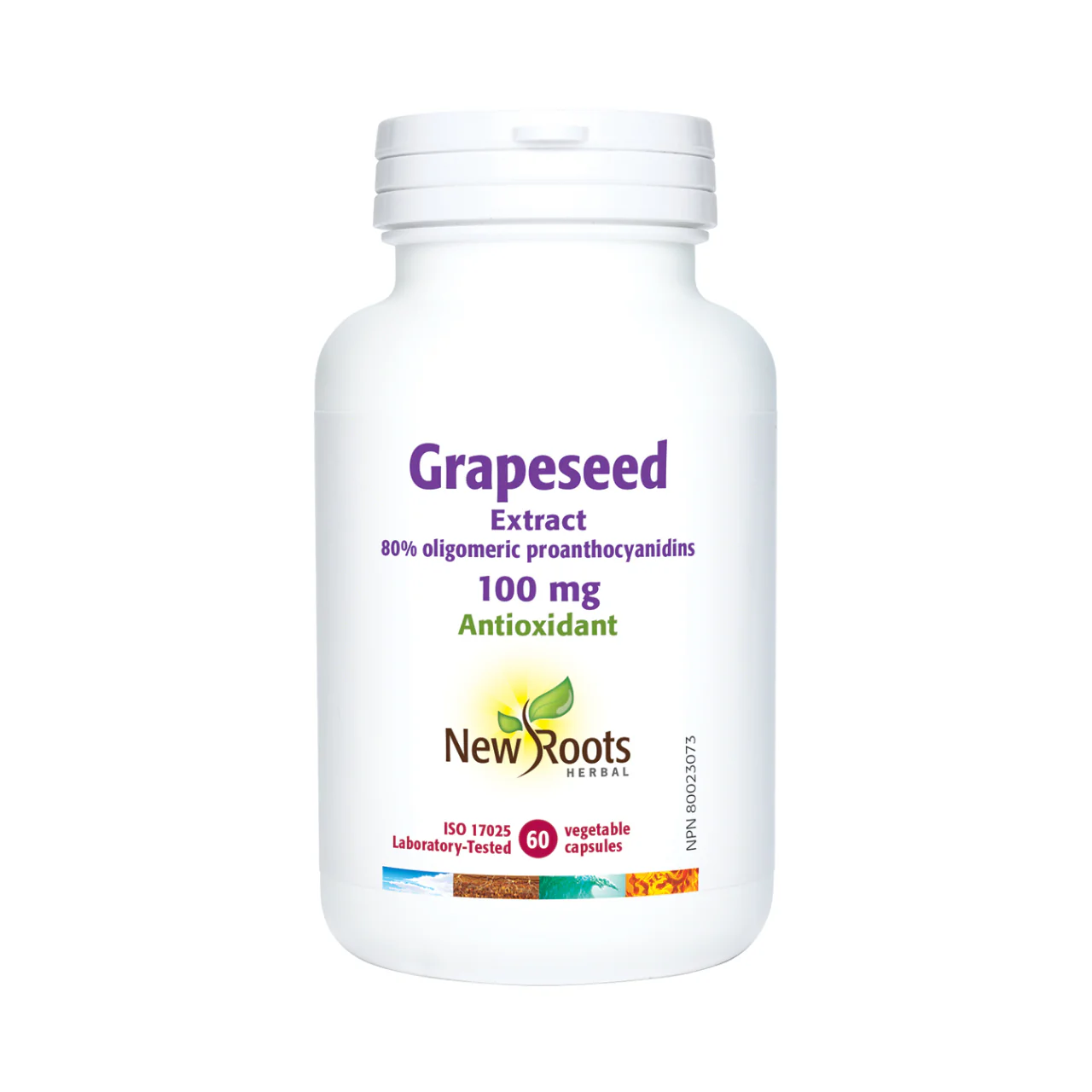 New Roots - Grapeseed Extract 80% Oligomeric Proanthocyanidins 100 mg | 60 capsules