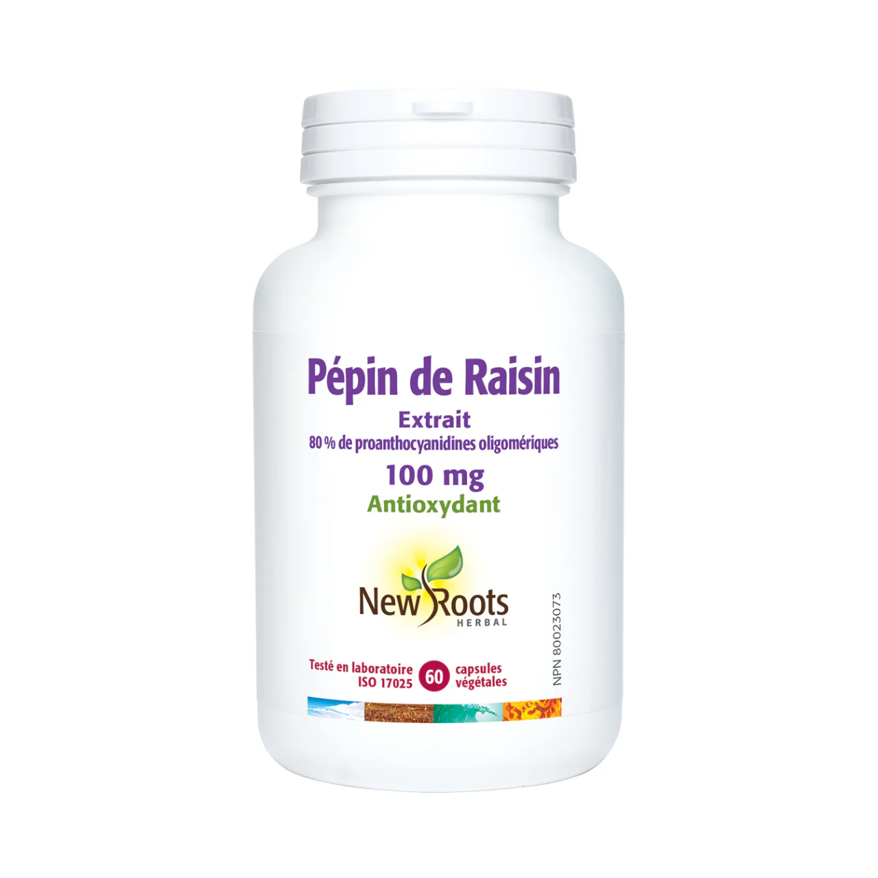 New Roots - Grapeseed Extract 80% Oligomeric Proanthocyanidins 100 mg | 60 capsules - Image 2