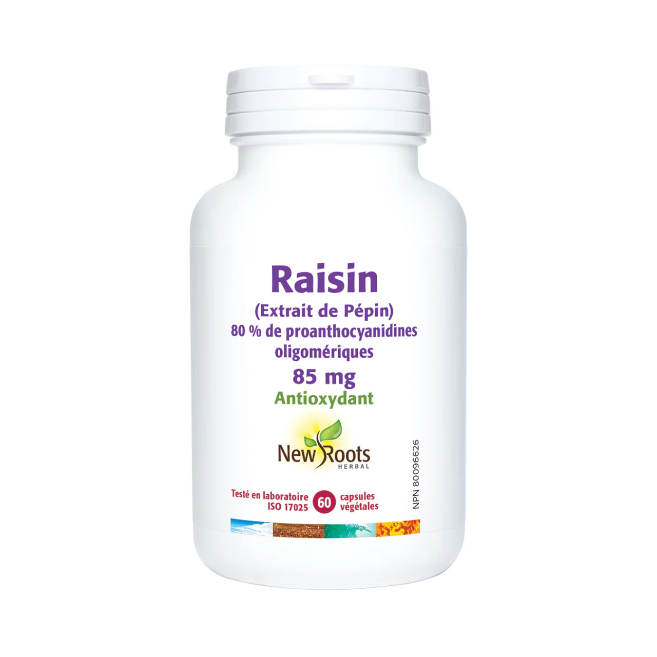 New Roots - Grapeseed Extract 80% Oligomeric Proanthocyanidins 85 mg | 60 capsules - Image 2