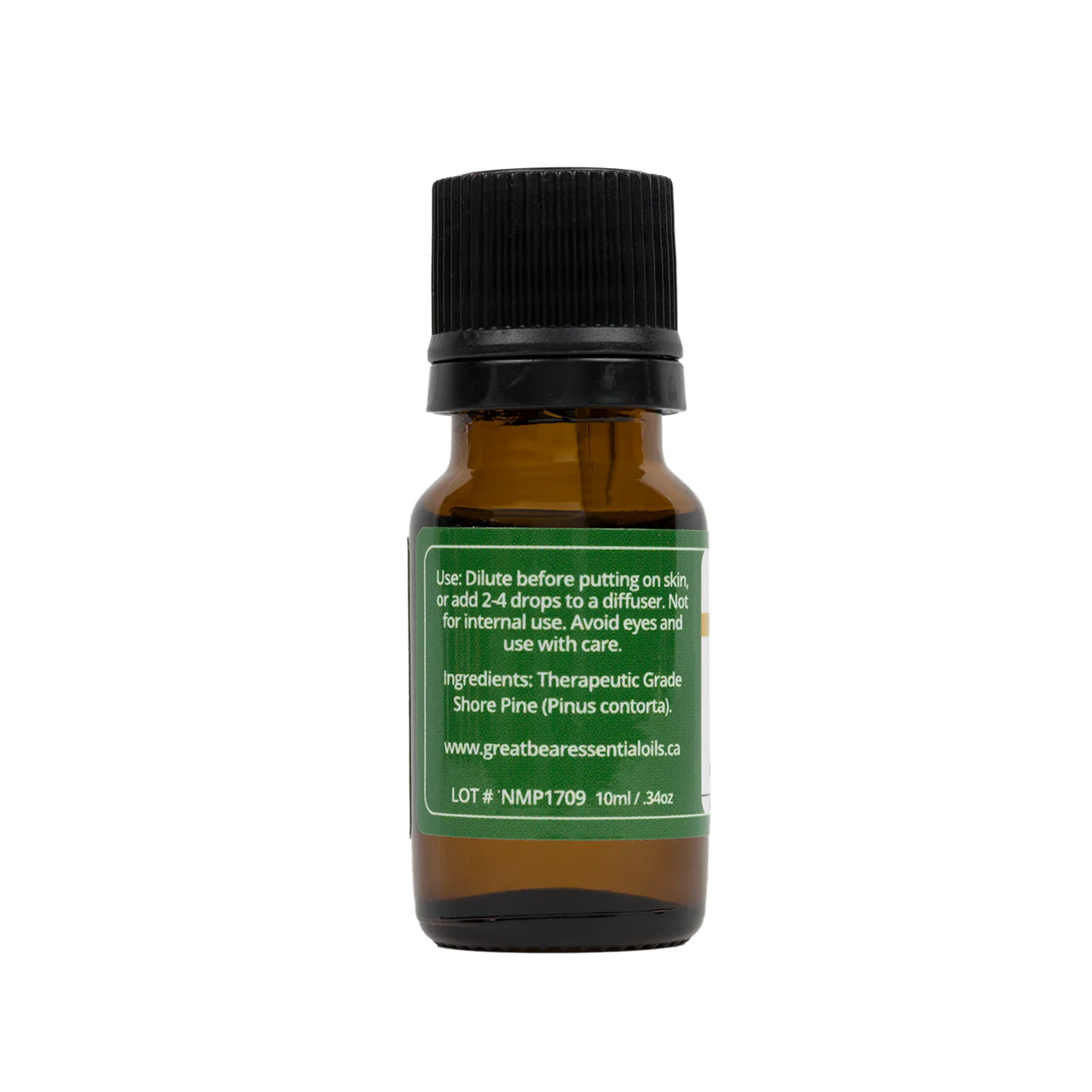 Great Bear Rainforest - Pure Pine Essential Oil | 10 mL - Image 2