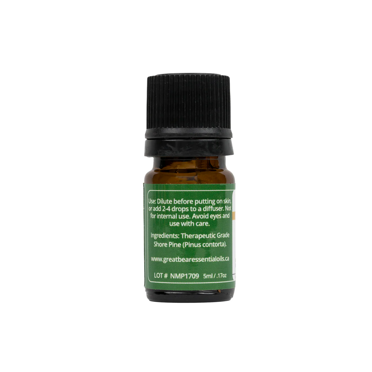Great Bear Rainforest - Pure Pine Essential Oil | 5 mL - Image 2