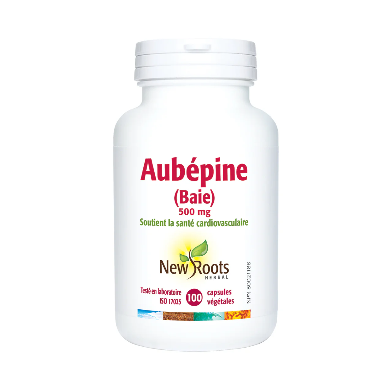 New Roots - Hawthorn Berry 500 mg | 100 capsules - Image 2