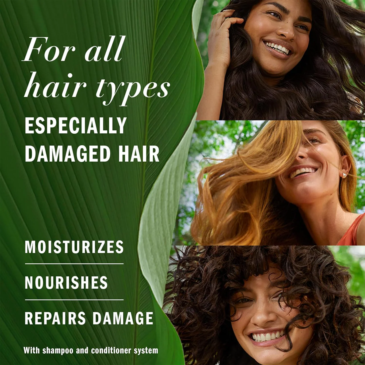 Herbal Essences - Argan Oil Shampoo | 400 mL - Image 3