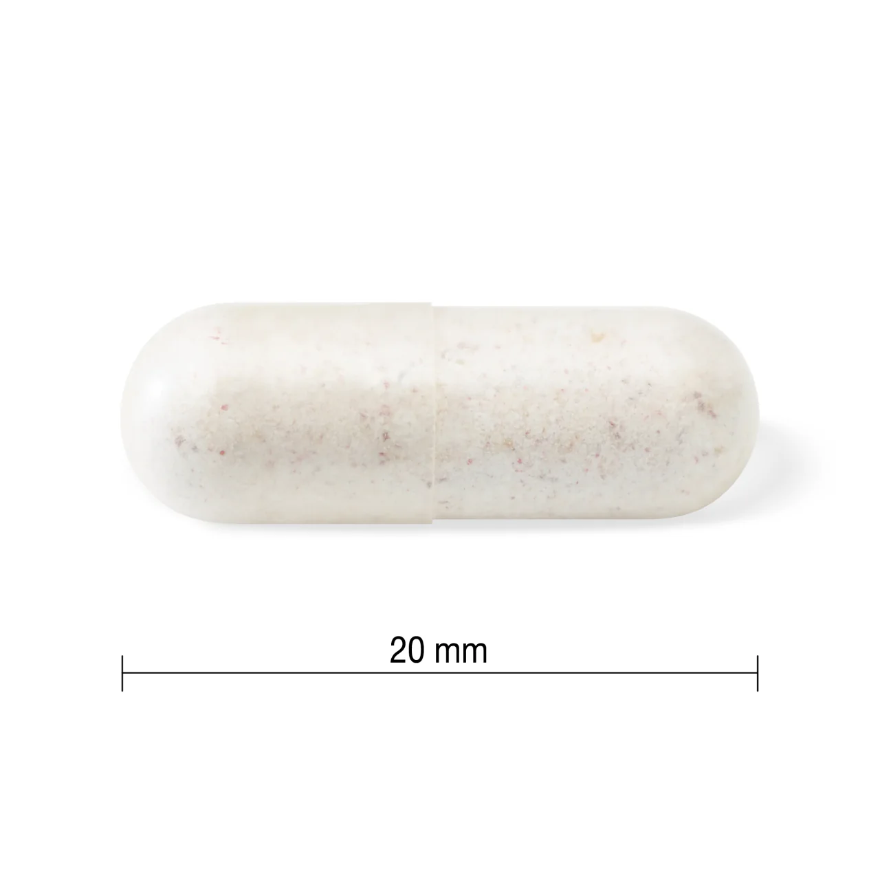 Jamieson - Adults 50+ 15 Billion Probiotic | 30 Vegetarian Capsules - Image 4