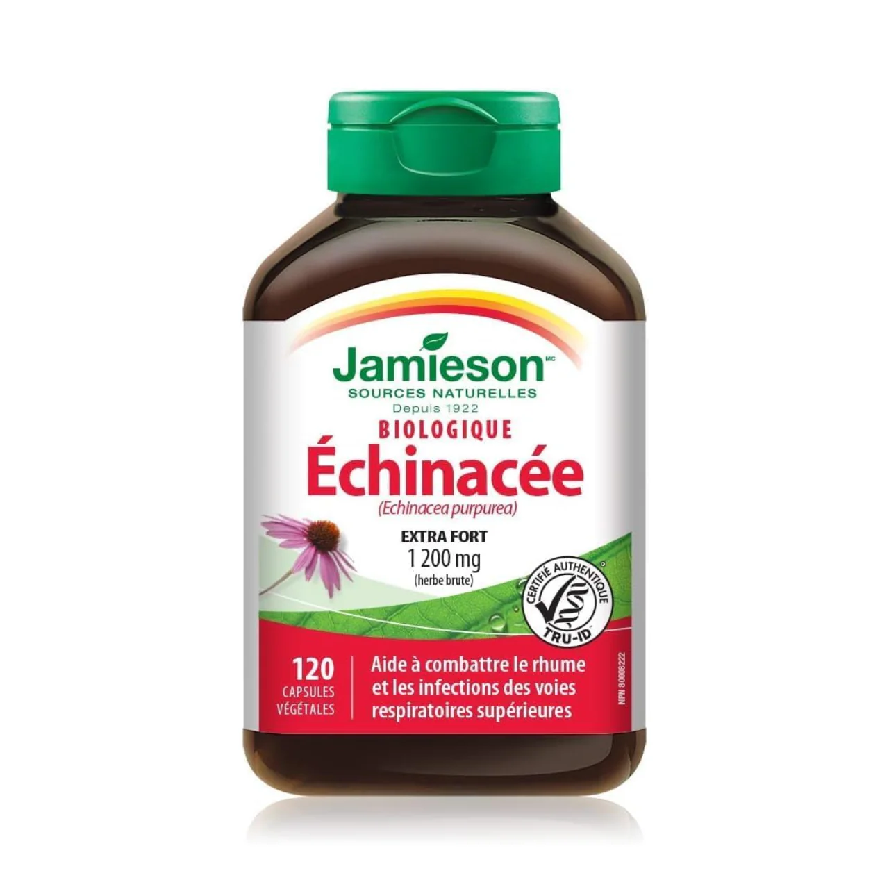Jamieson - Extra Strength Organic Echinacea 1200 mg | 120 Capsules - Image 2