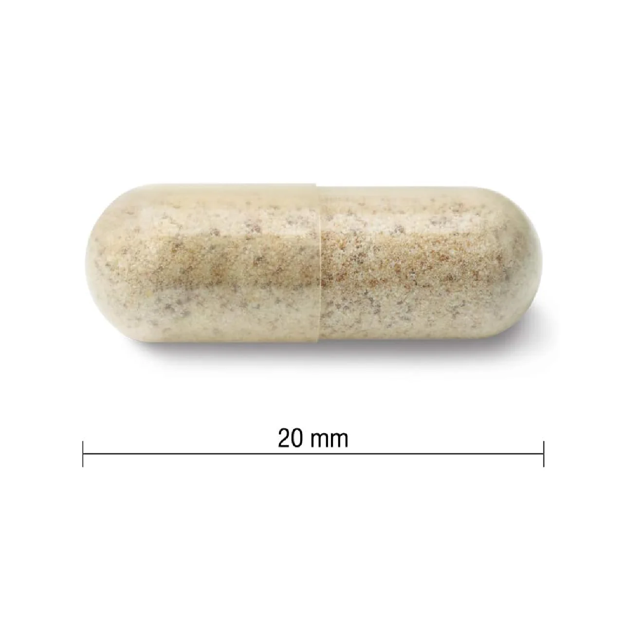 Jamieson - Extra Strength Organic Echinacea 1200 mg | 120 Capsules - Image 4