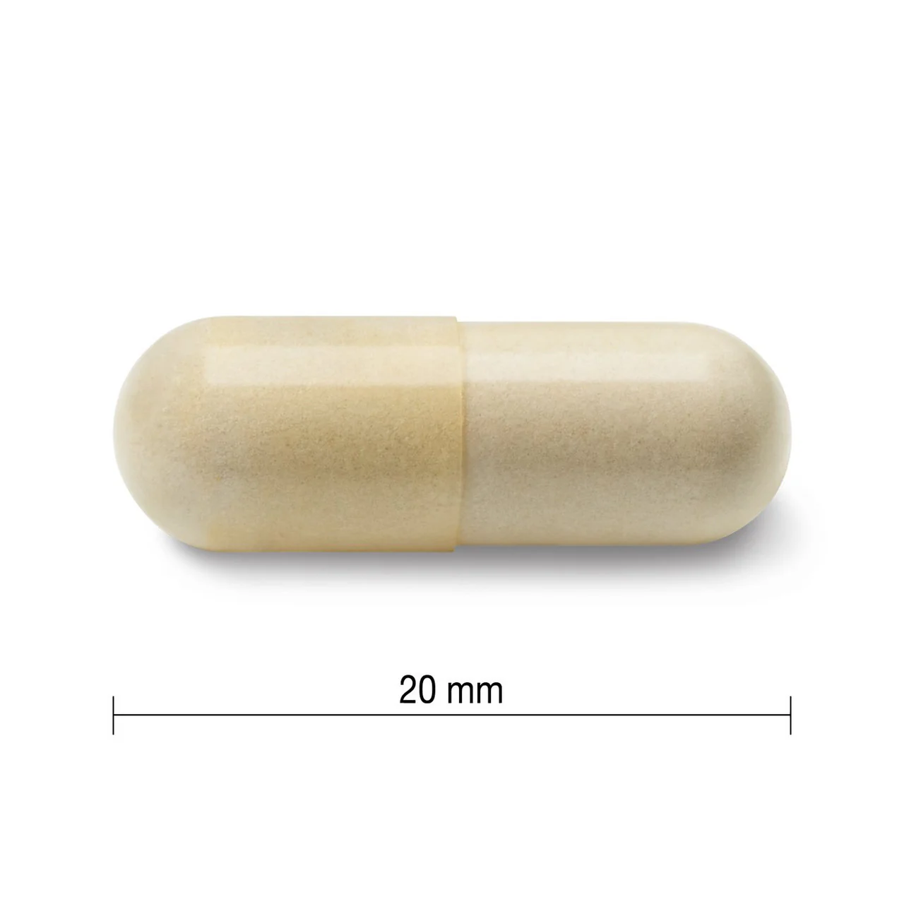 Jamieson - Glucosamine 500mg | 360 Capsules - Image 4