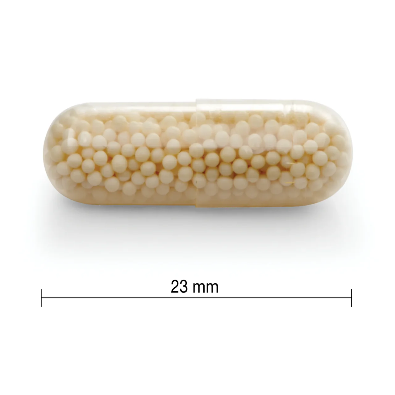 Jamieson - Vitamin C 500 mg, Timed Release | 100 Capsules - Image 4