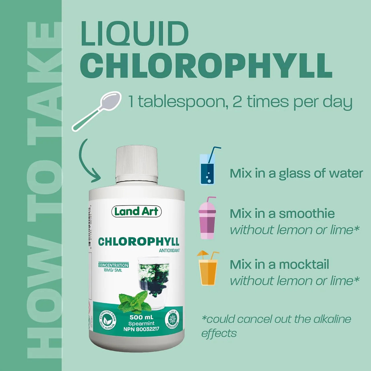 Land Art - Chlorophyll Liquid, Mint | 500 mL - Image 2