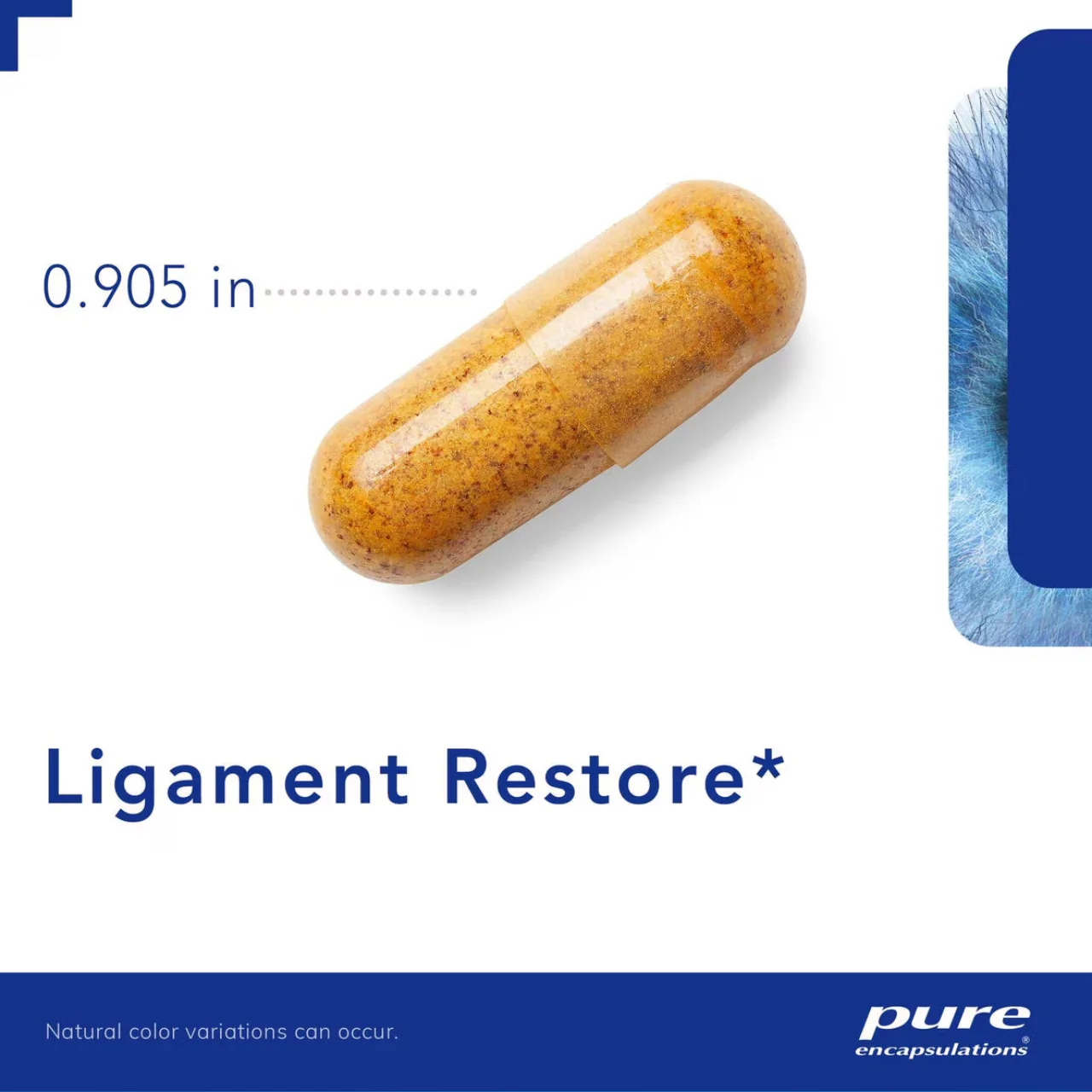 Pure Encapsulations - Ligament Restore| 120 Capsules - Image 3