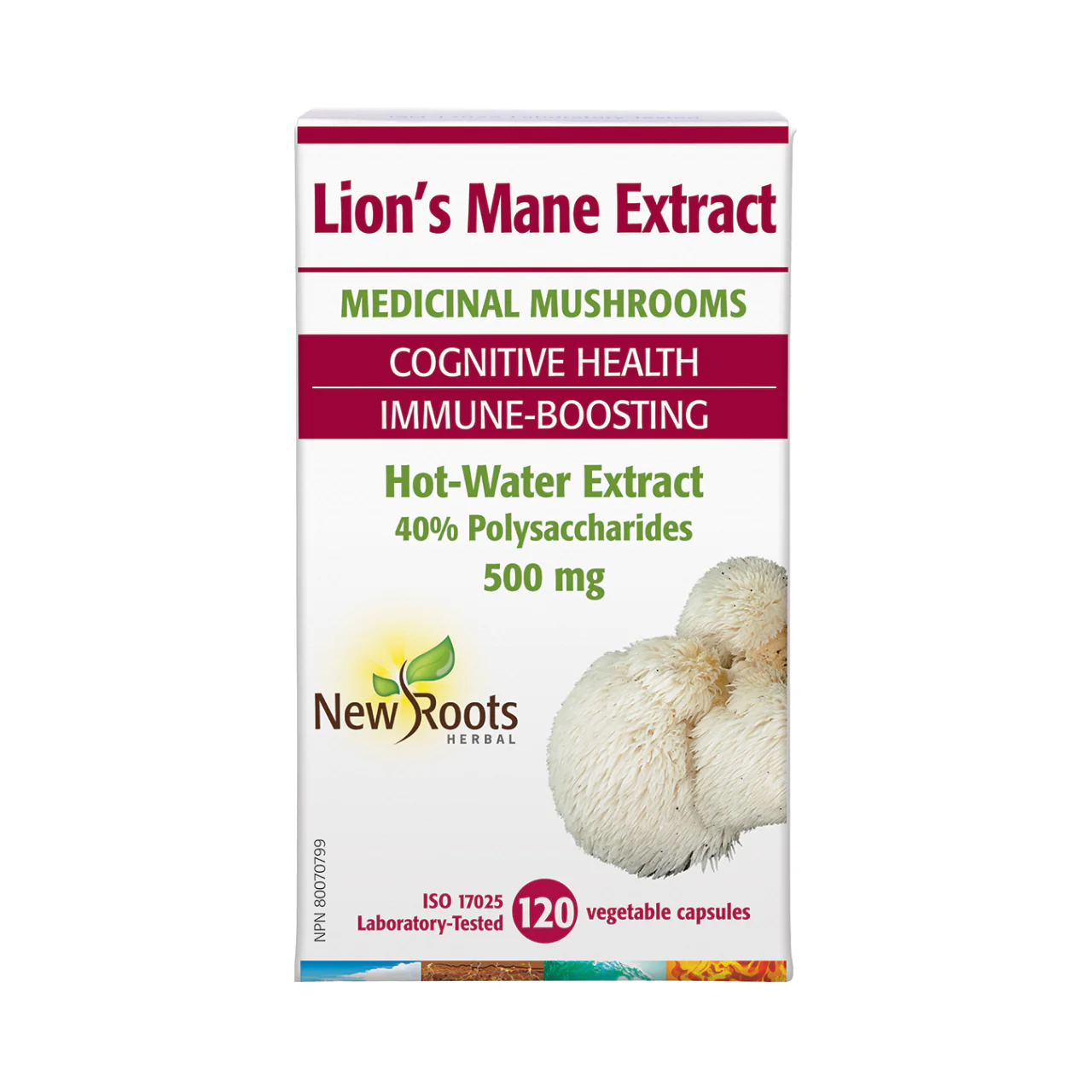 New Roots - Lion’s Mane 500 mg Hot-Water Extract | 120 capsules