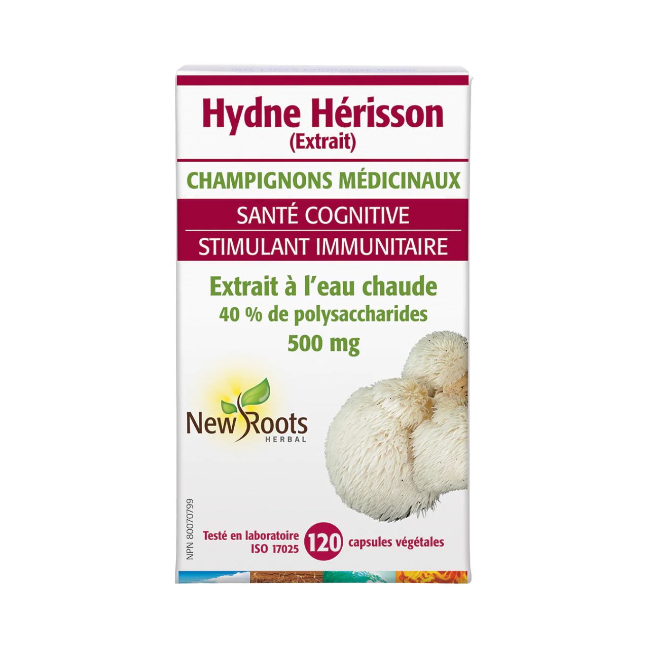 New Roots - Lion’s Mane 500 mg Hot-Water Extract | 120 capsules - Image 2
