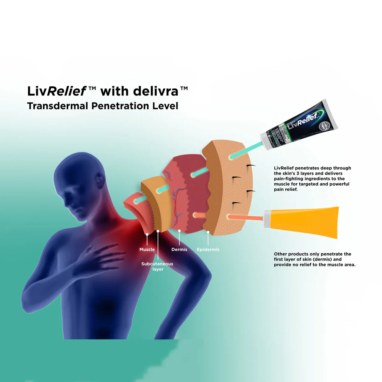 LivRelief - Extra Strength Chronic Angry Pain Relief Cream | 100 g - Image 2
