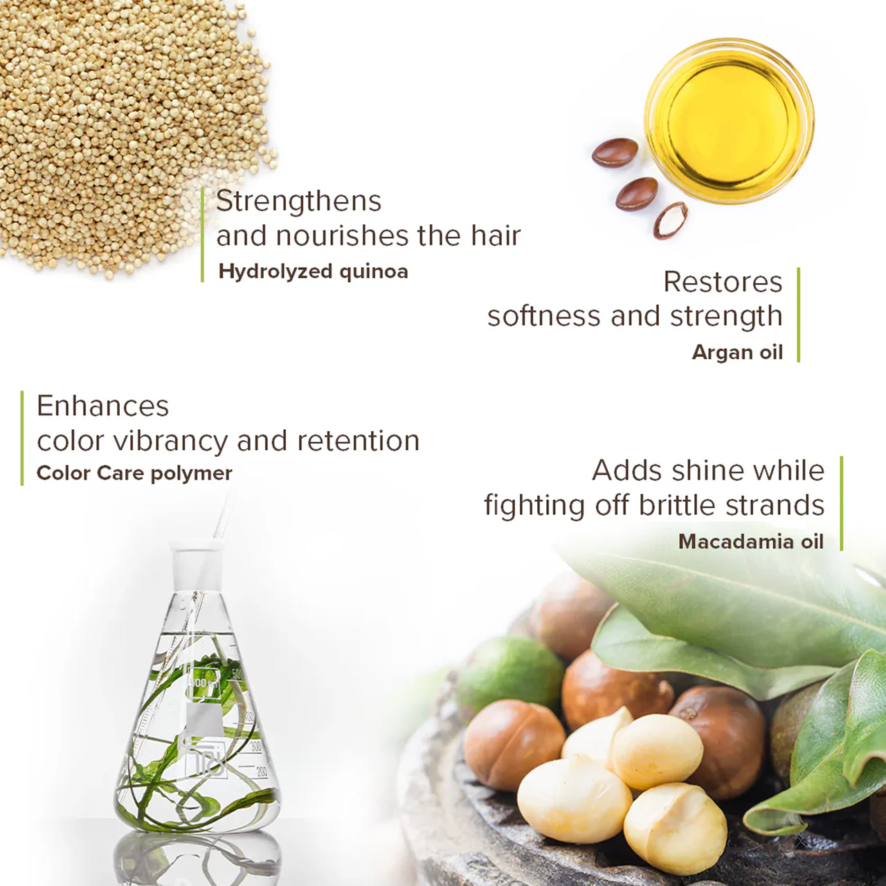 Macadamia - Color Care Shampoo | 300 mL - Image 2