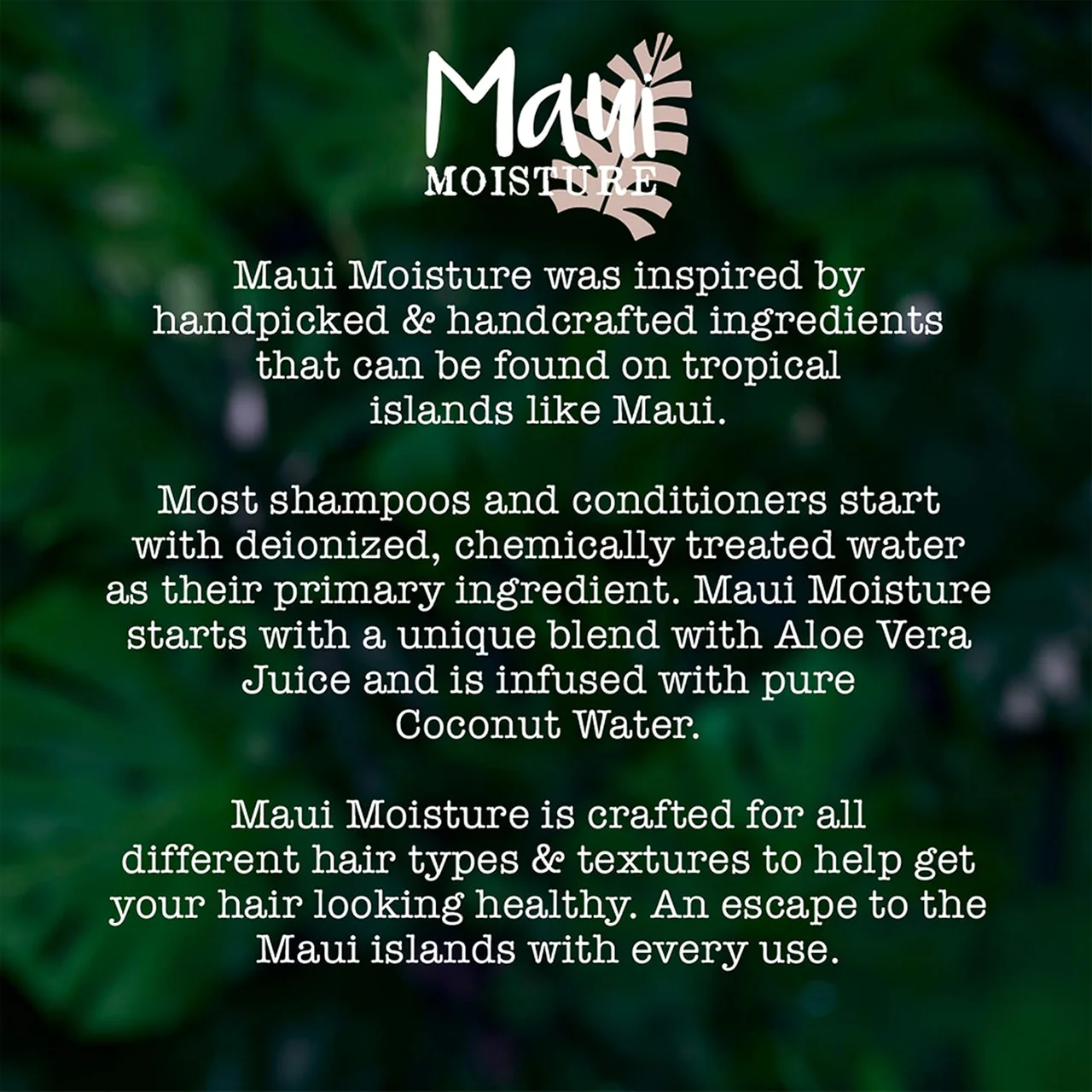 Maui Moisture - Lightweight Hydration + Hibiscus Water Conditioner | 385 mL - Image 4