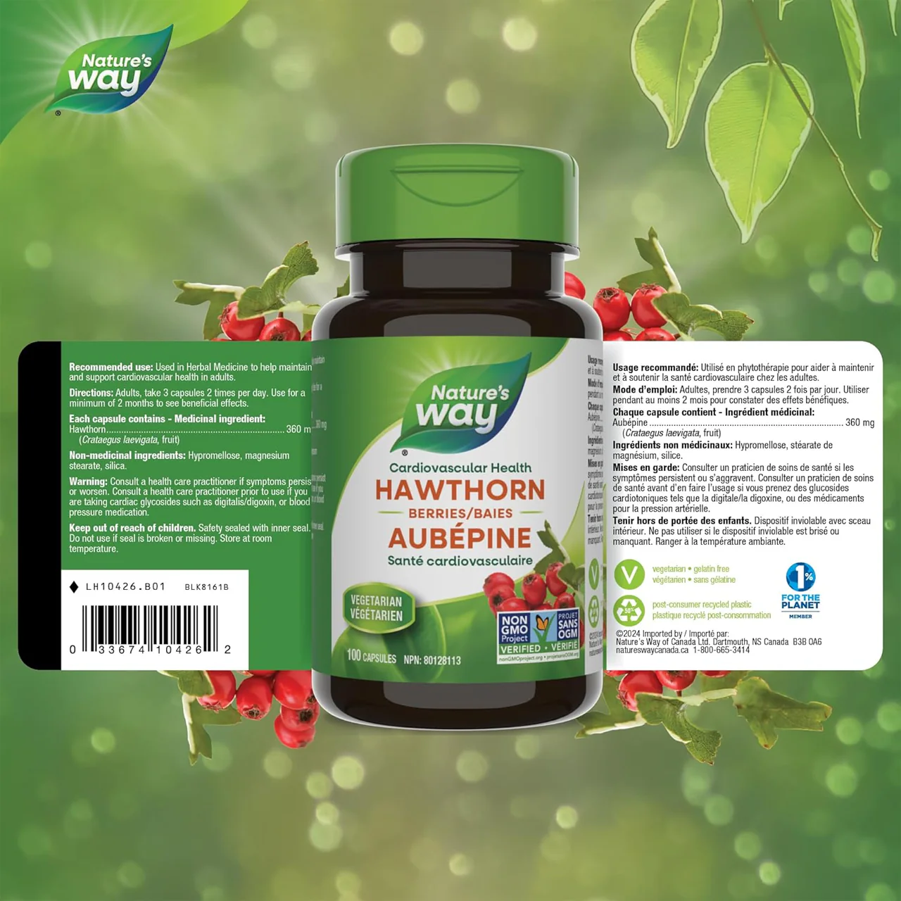 Nature's Way - Hawthorn Berries | 100 Capsules - Image 3
