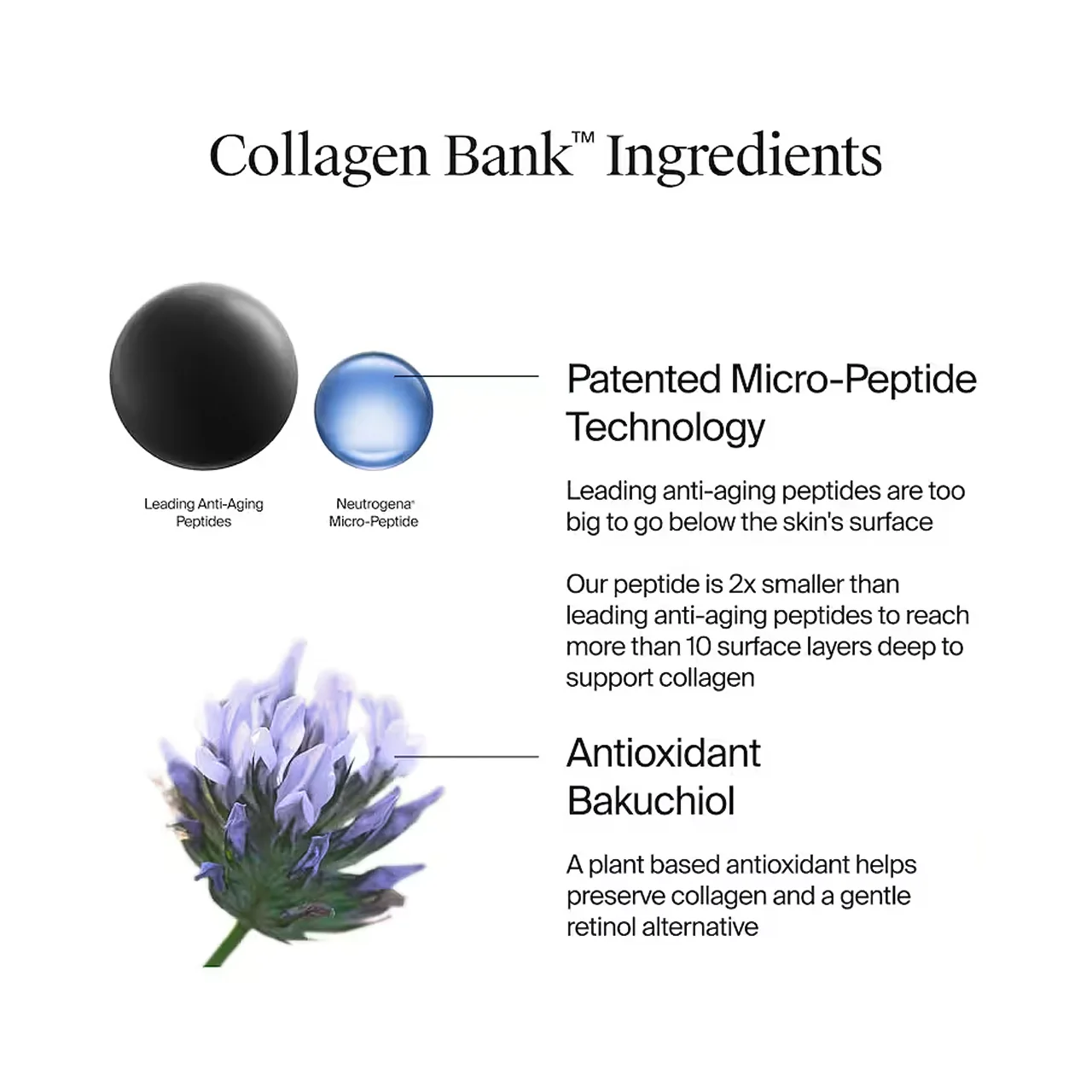 Neutrogena - Collagen Bank Moisturizer | 59 mL - Image 2