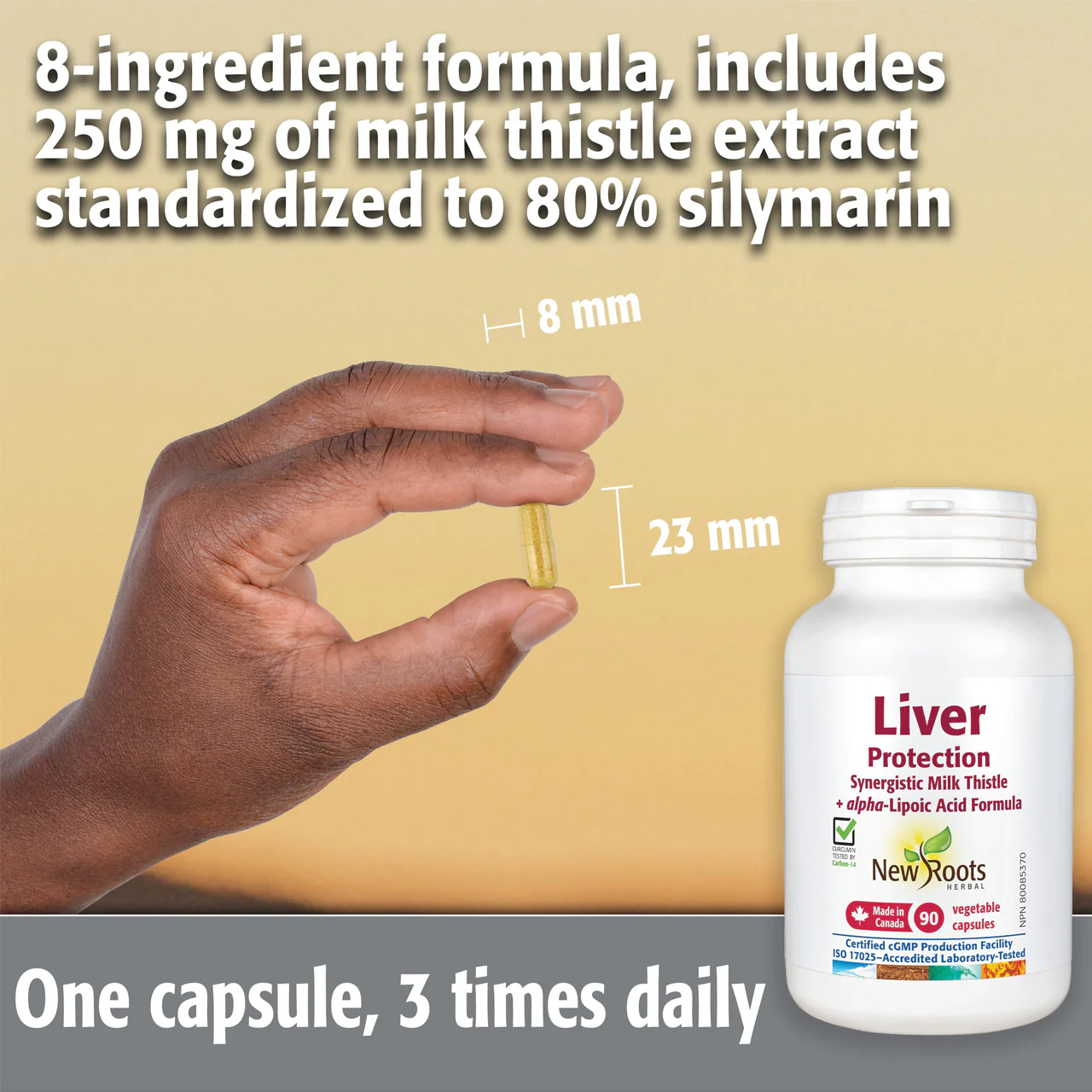 New Roots - Liver Protects Milk Thistle Plus Alpha-Lipoic Acid | 90 Capsules - Image 3