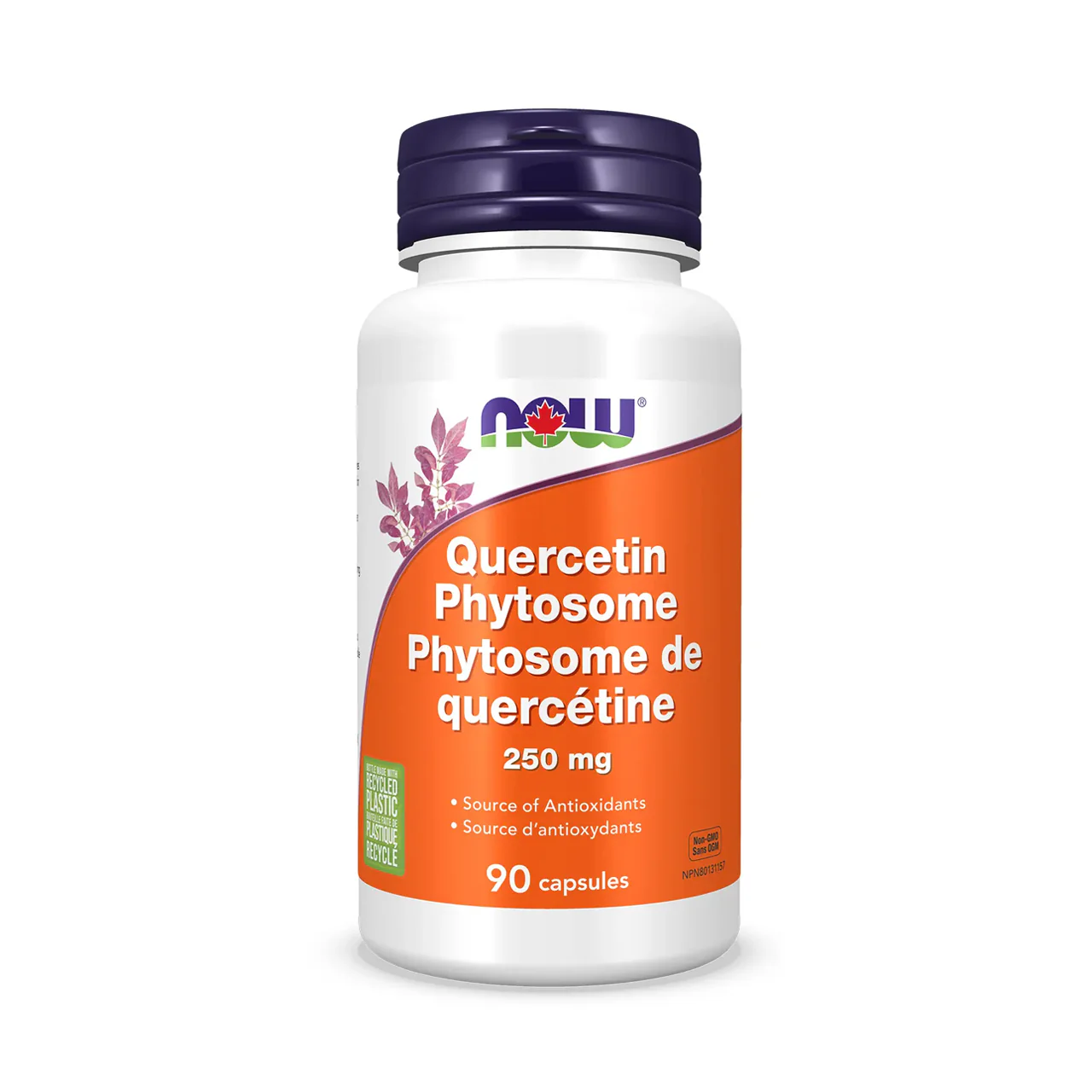 NOW - Quercetin Phytosome | 90 Capsules
