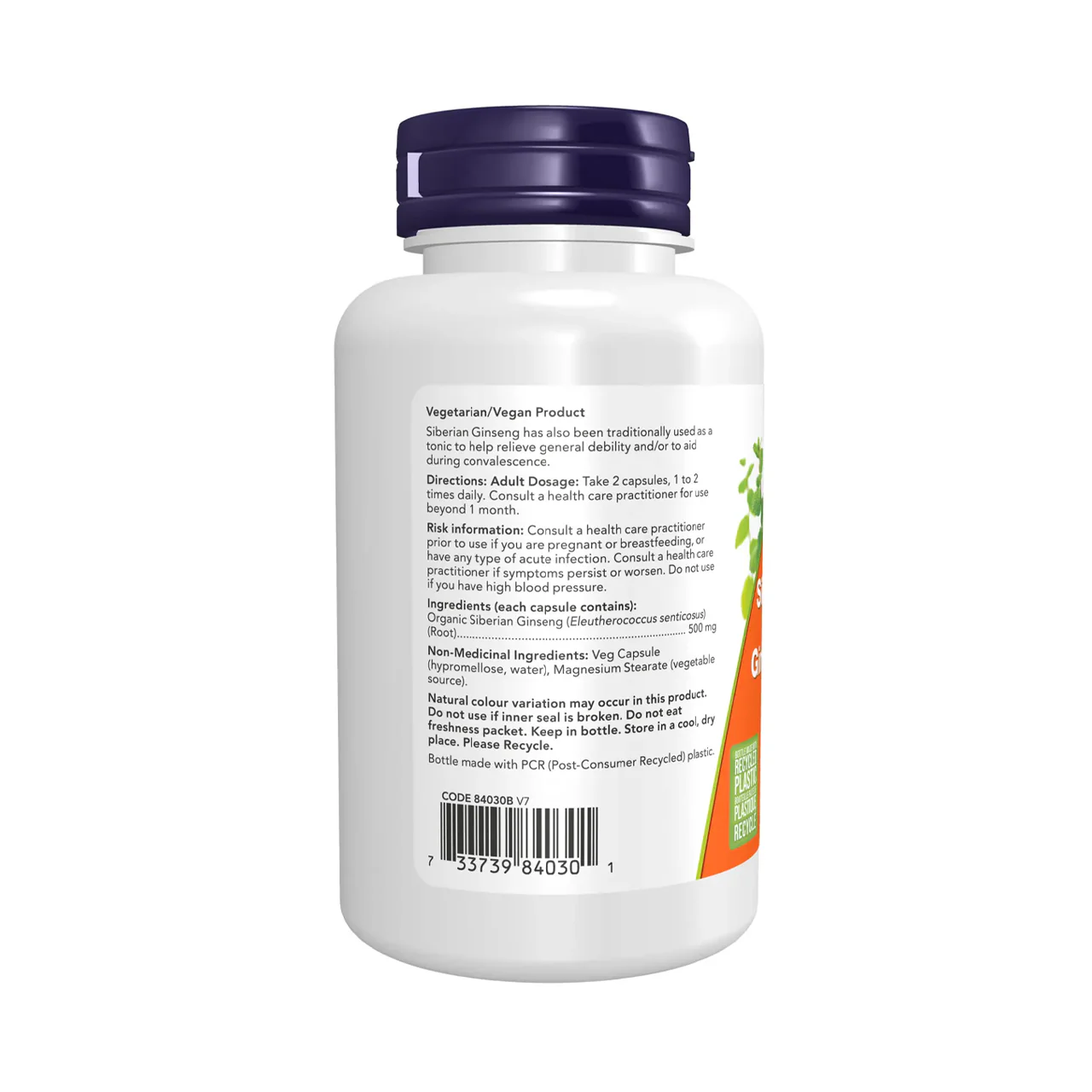 NOW - Siberian Ginseng 500 mg | 100 Capsules - Image 2