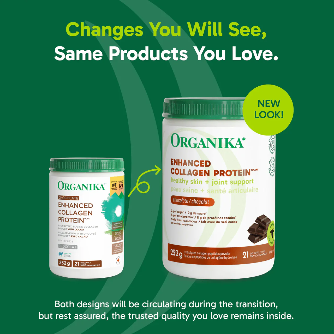 Organika - Enhanced Collagen Protein, Chocolate | 252 g - Image 3