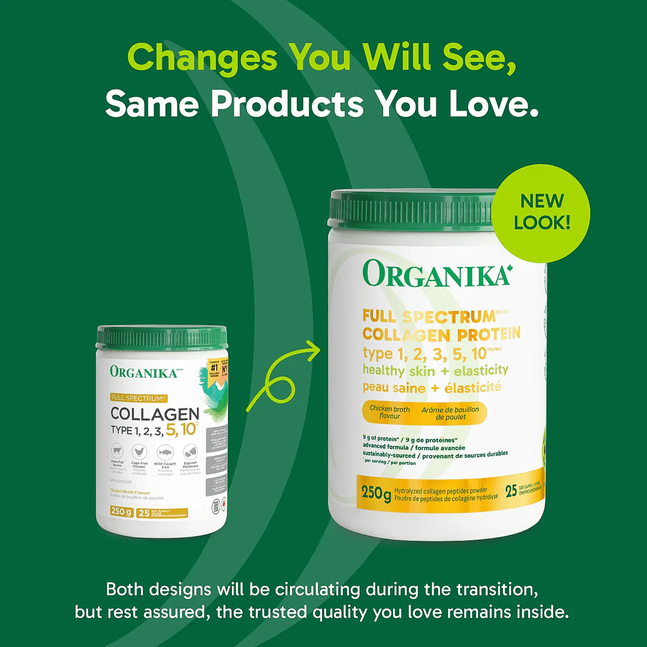 Organika - Full Spectrum Collagen 1-3,5,10 Light Chicken Broth Flavour | 250 g - Image 3