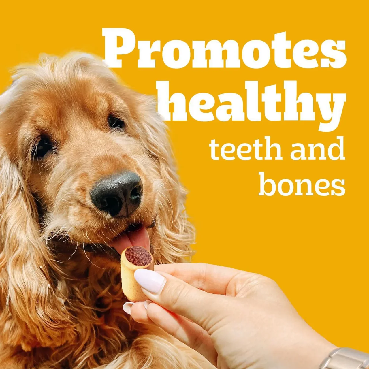 Pedigree - MarroBone Dog Biscuits with Tasty Bone Marrow - Beef | 737 g - Image 2