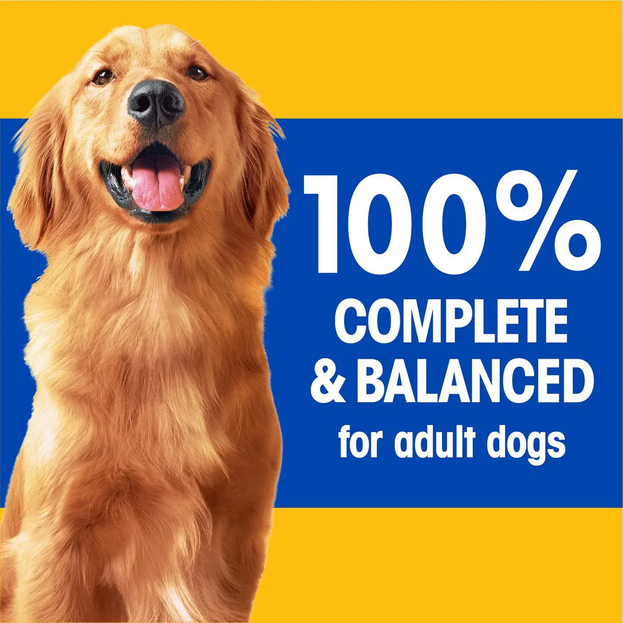 Pedigree - Real Beef Wet Dog Food | 630 g - Image 3