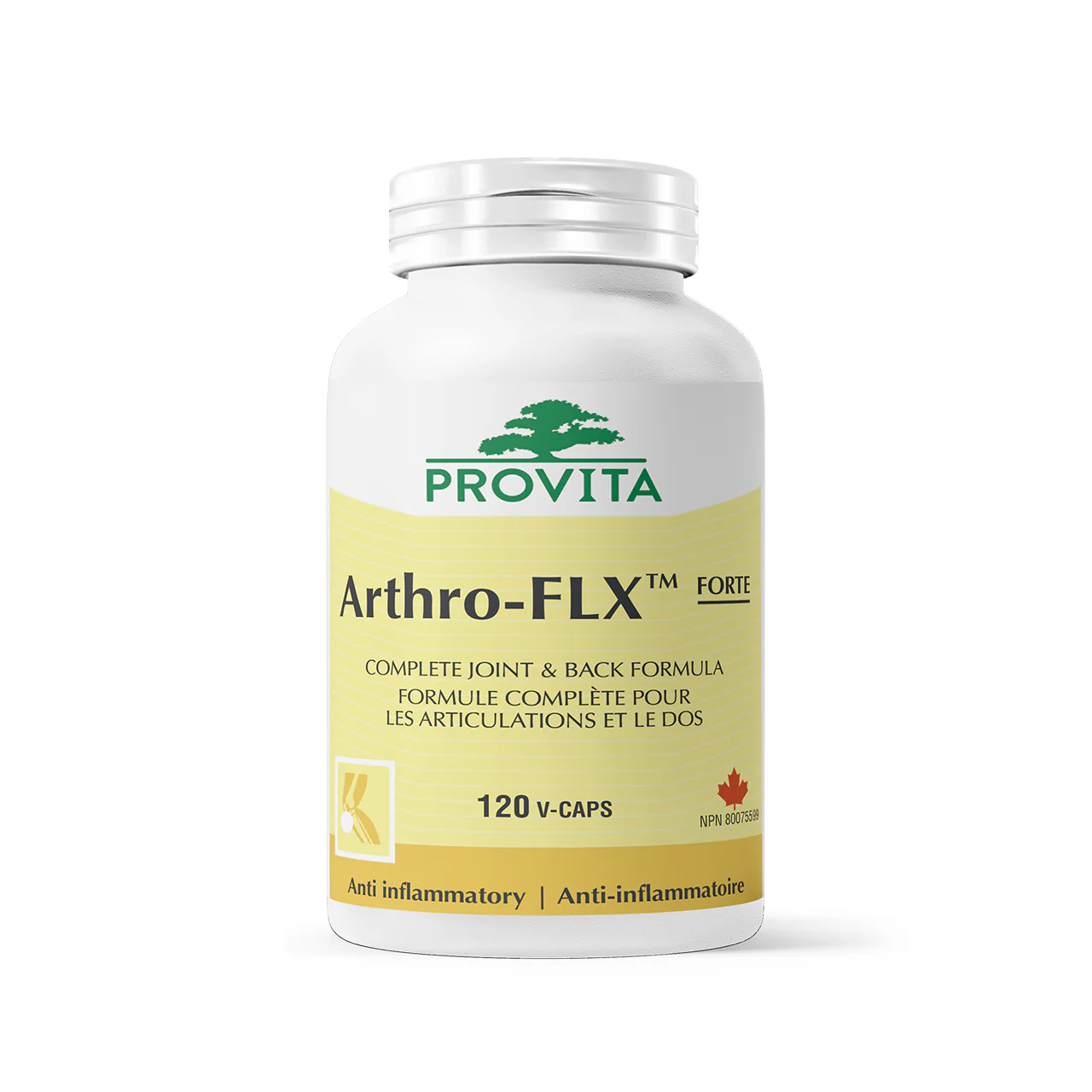 Provita - Arthro-Flx Forte | 120 Capsules