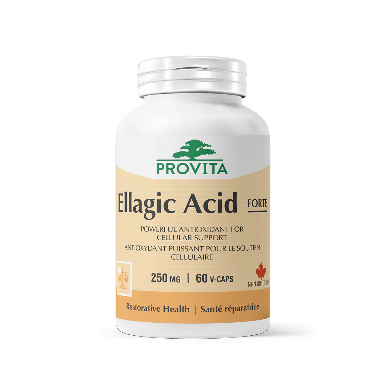 Provita - Ellagic Acid | 60 Capsules