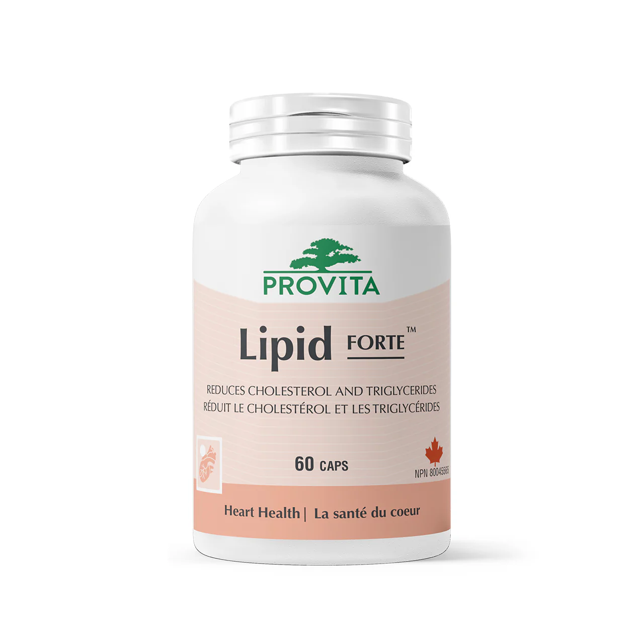 Provita - Lipid Forte | 60 Capsules