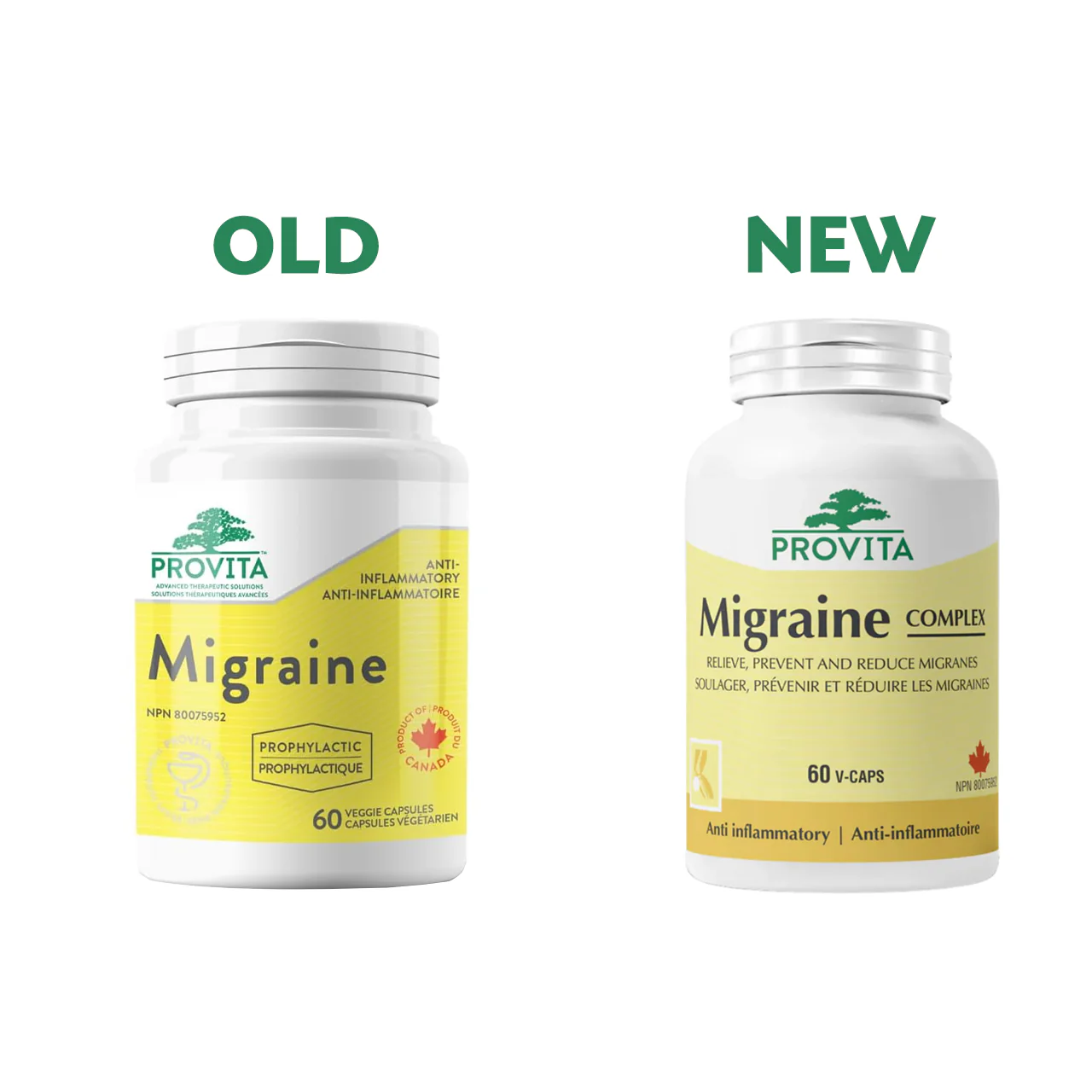 Provita - Migraine Complex | 60 Veggie Capsules - Image 2