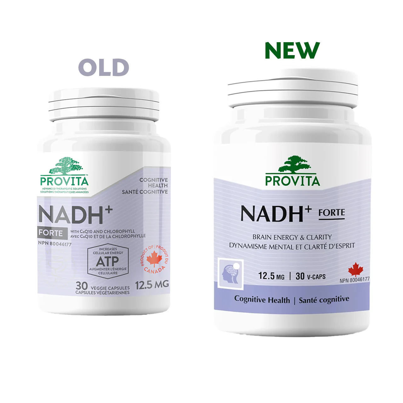 Provita - NADH+ Forte, Brain Energy & Clarity | 30 v-cap - Image 2