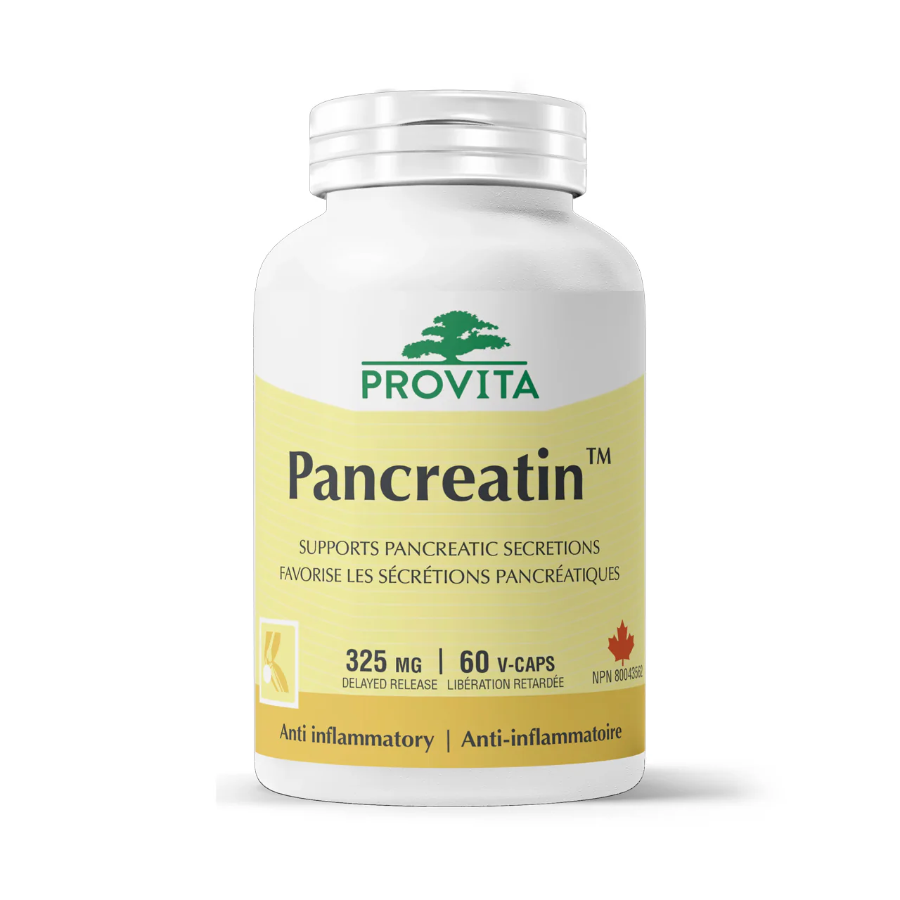 Provita - Pancreatin Delayed Release | 60 Veggie Capsules