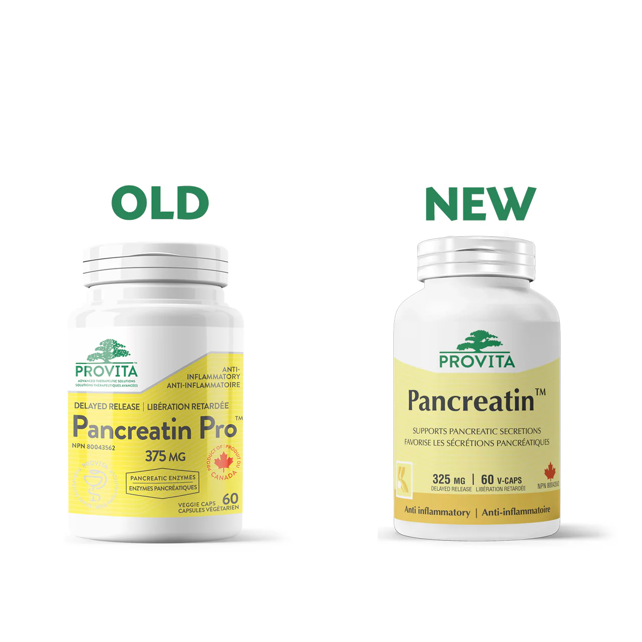 Provita - Pancreatin Delayed Release | 60 Veggie Capsules - Image 2