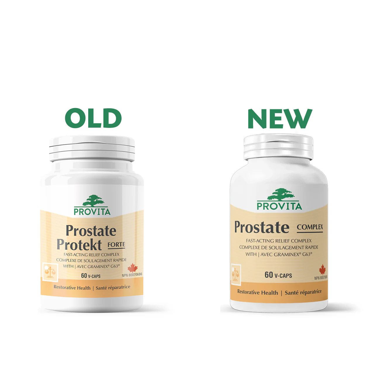 Provita - Prostate Complex | 60 Veggie Capsules - Image 2