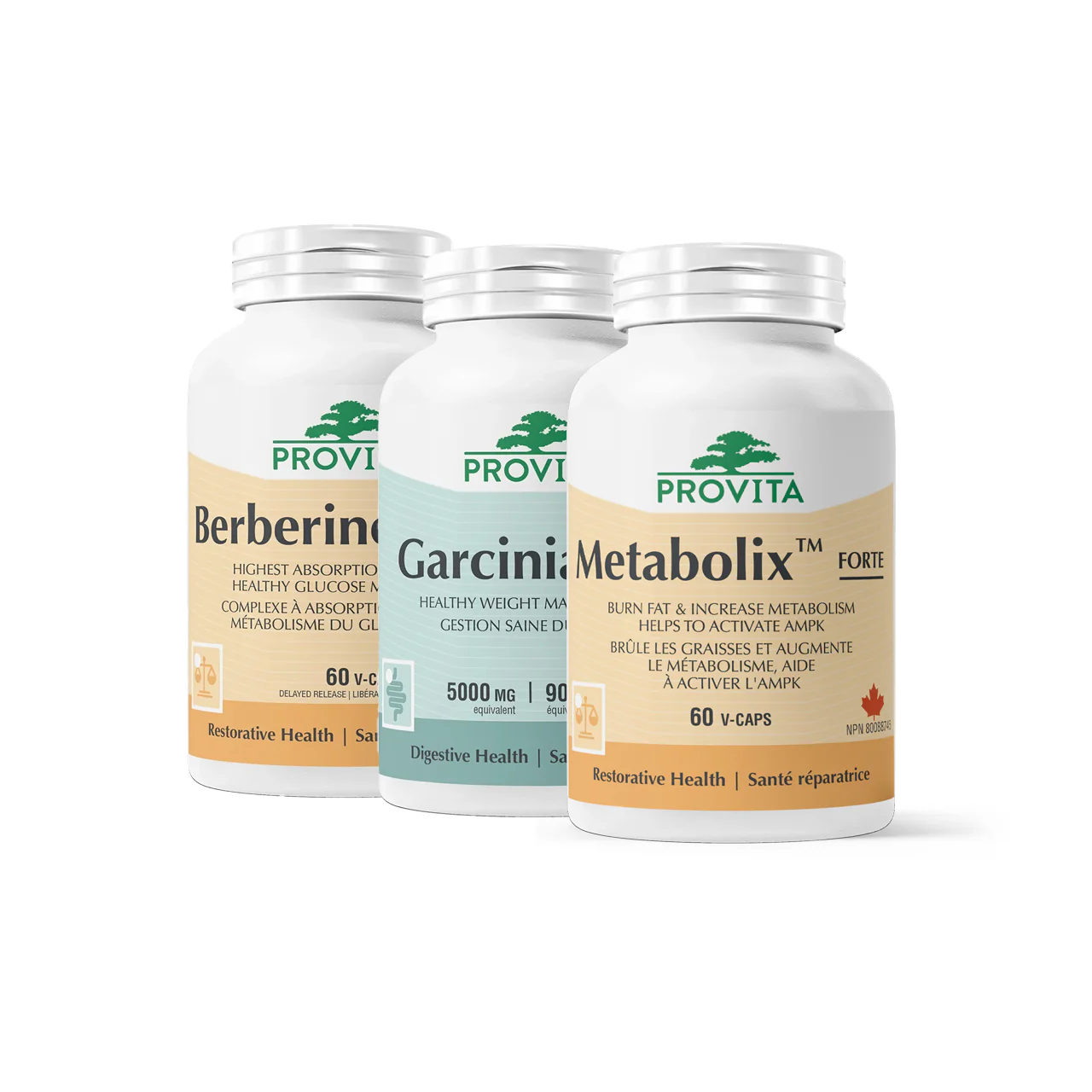 Provita Weight Loss | Wellness Bundle